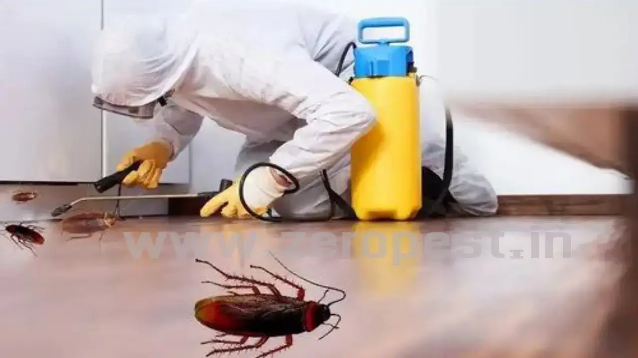 Ant-control-services-in-Nerul